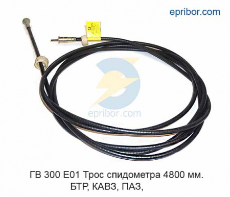 00-00002000_image