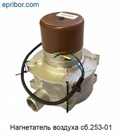 00-00005806_image