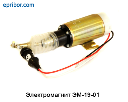 00-00005368_image